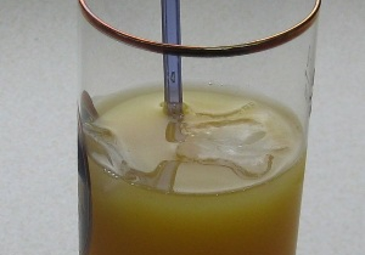 Gin z malibu i sokiem pomarańczowym foto