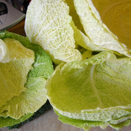 Krok 6 - Gołąbki z kaszą gryczaną i pieczarkami foto