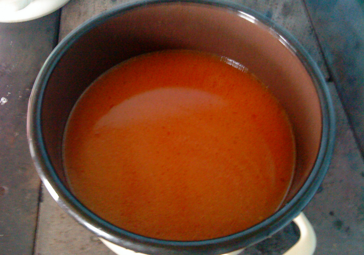 Gołąbki z sosem pomidorowym foto