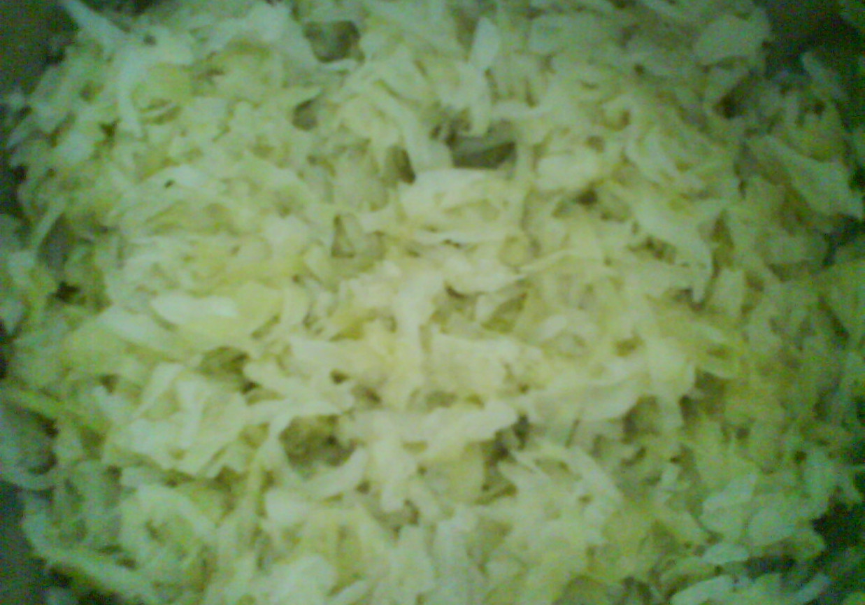 Gotowana kapusta foto