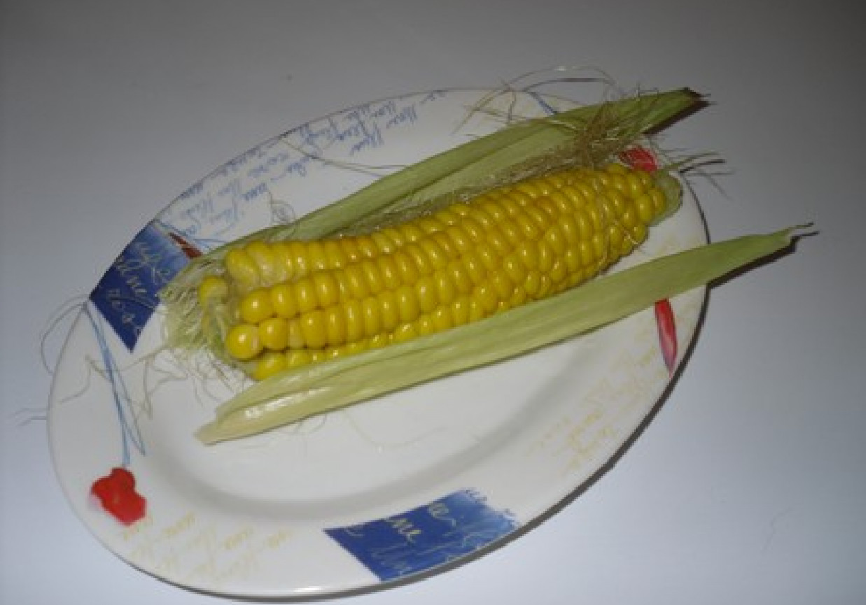 Gotowana kukurydza foto