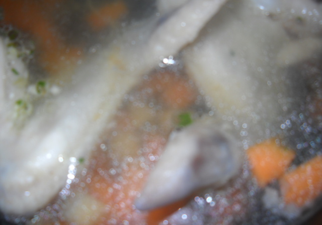 Gotowany kurczak w warzywkach foto