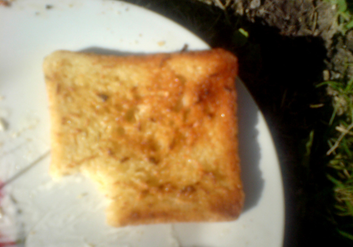 grillowany chleb z masłem ziołowo-czosnkowym foto