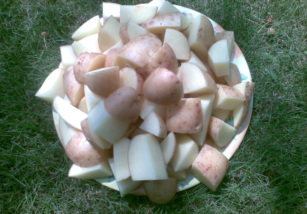 Grillowany filet w ziołach z młodymi ziemniakami. foto