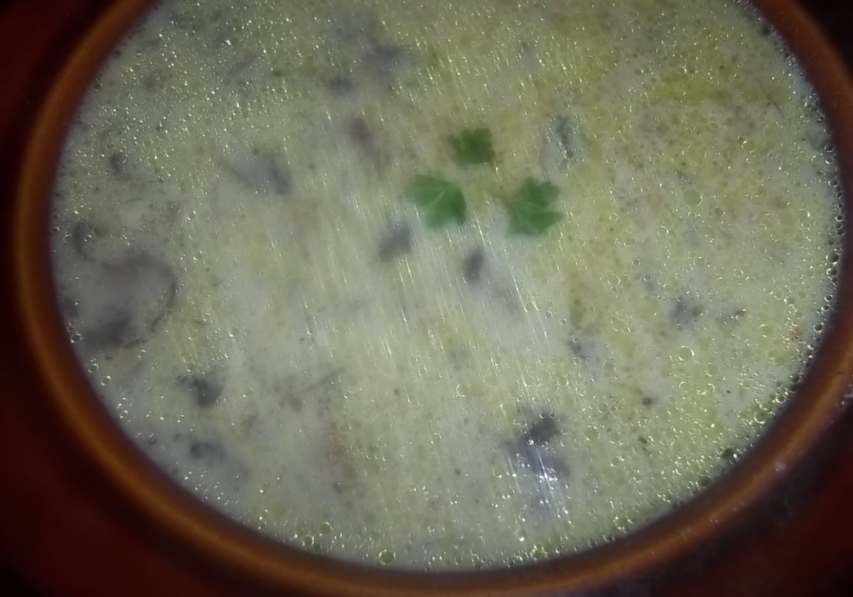 Grzybowa zupa wigilijna foto