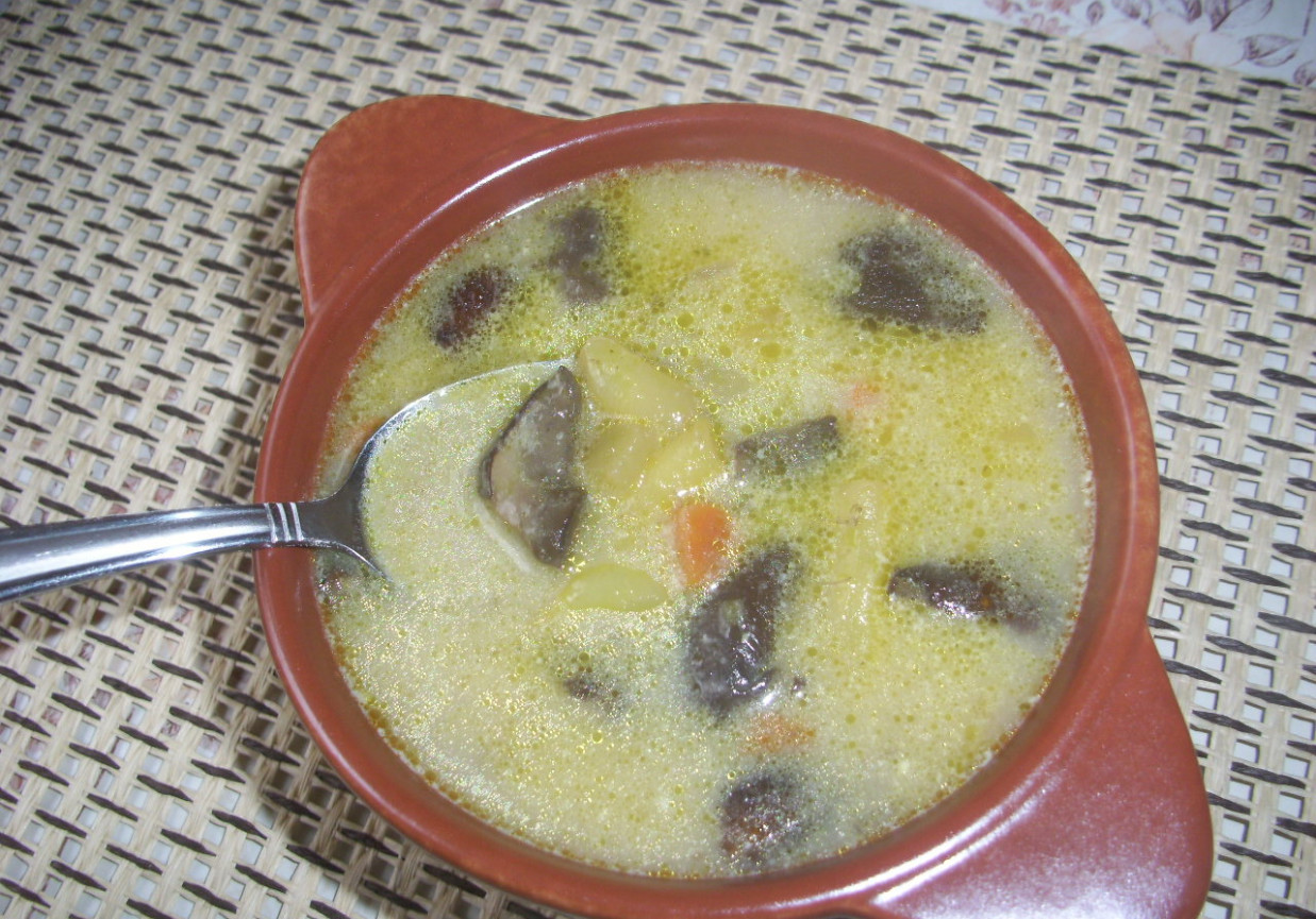 Grzybowa zupa z fasolką foto