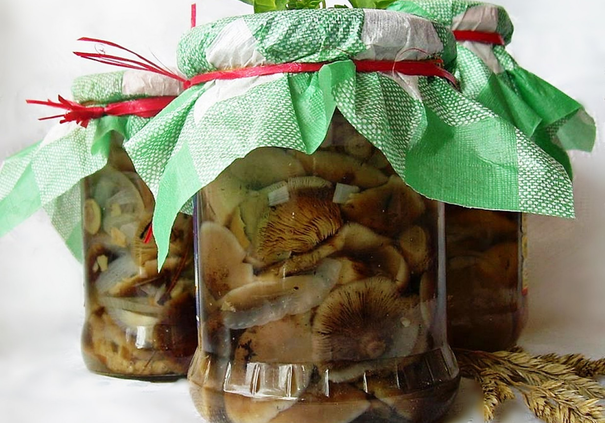 Grzyby marynowane (przepis uniwersalny) foto
