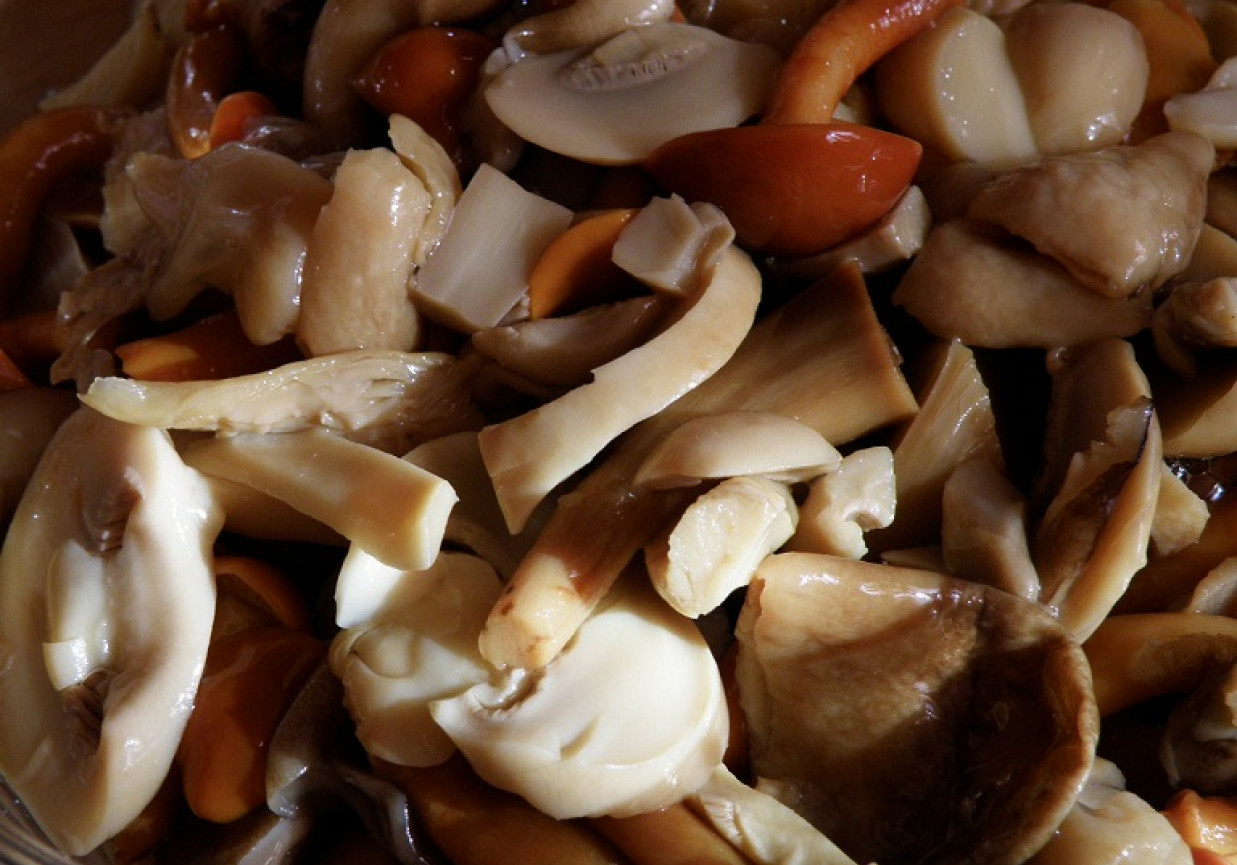 Grzyby marynowane w occie jabłkowym foto