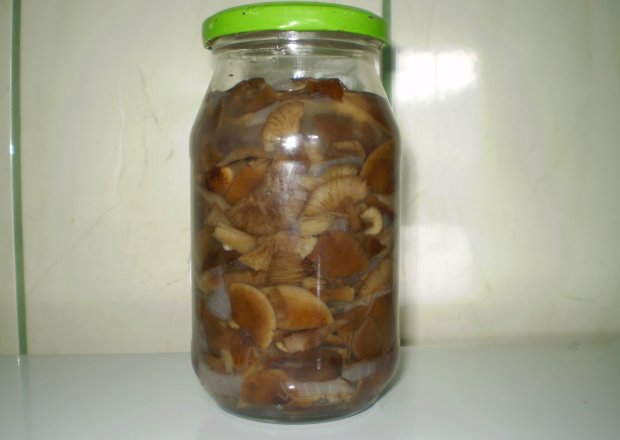 Fotografia przedstawiająca grzyby - opieńki marynowane