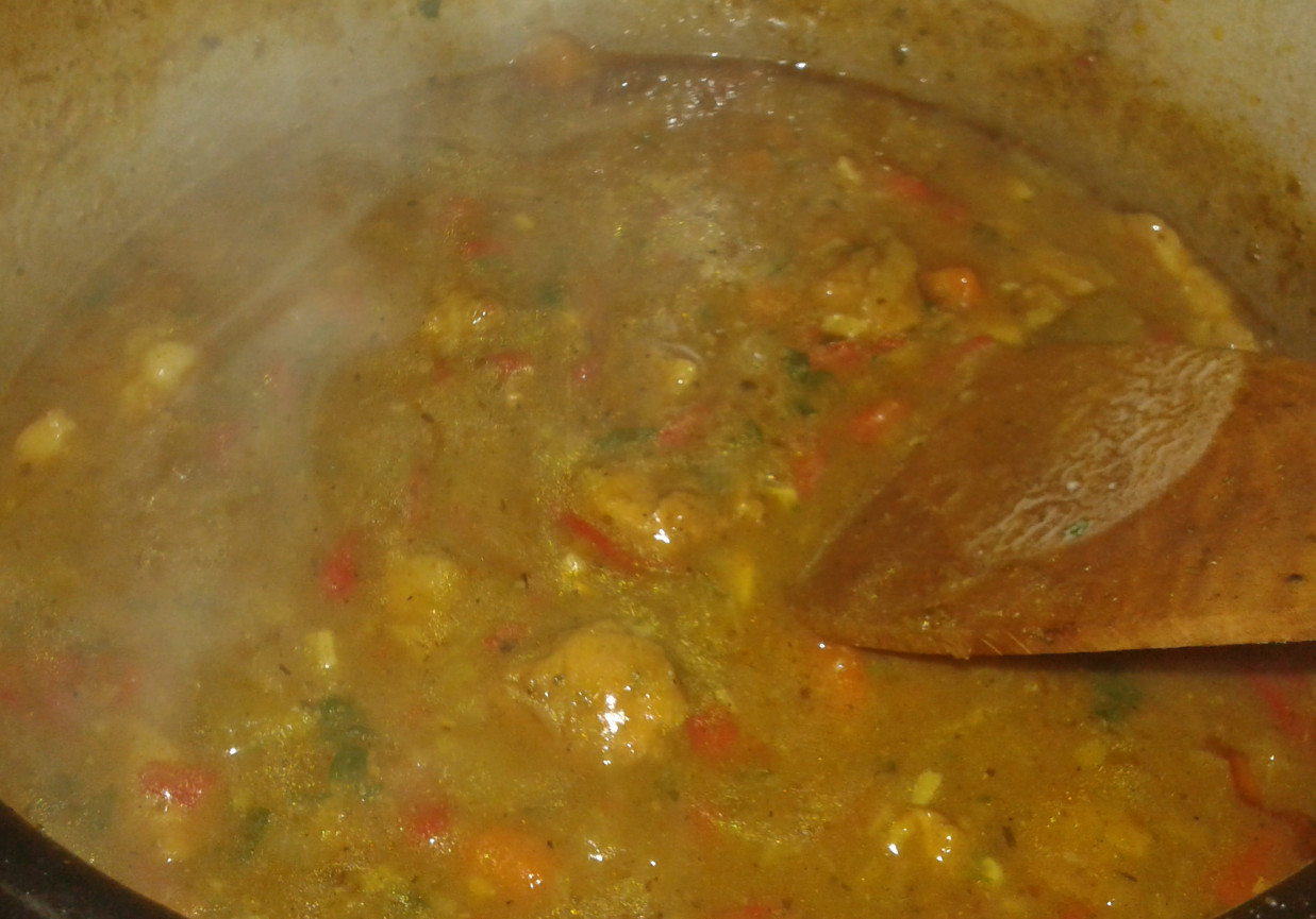 Gulasz wieprzowy z curry i kasą  foto
