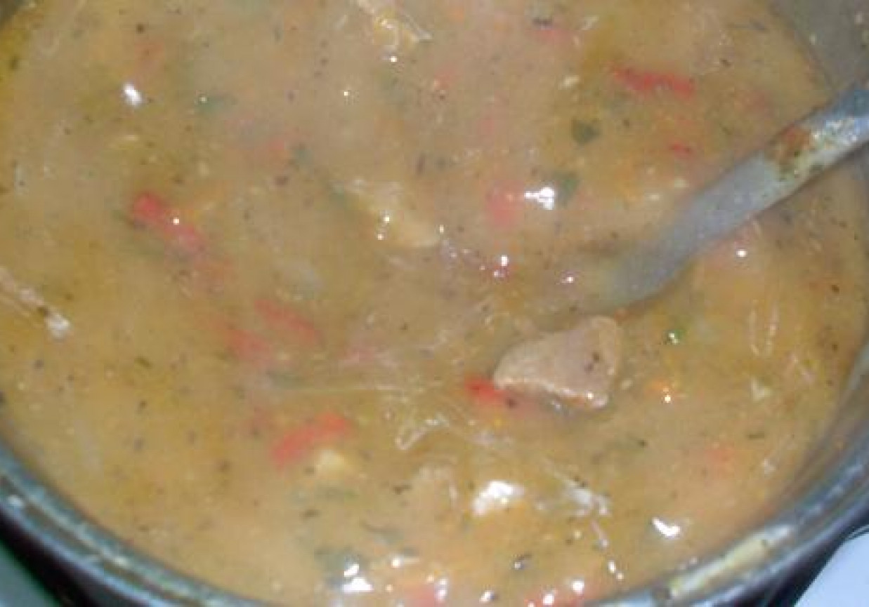 Gulasz z papryką foto