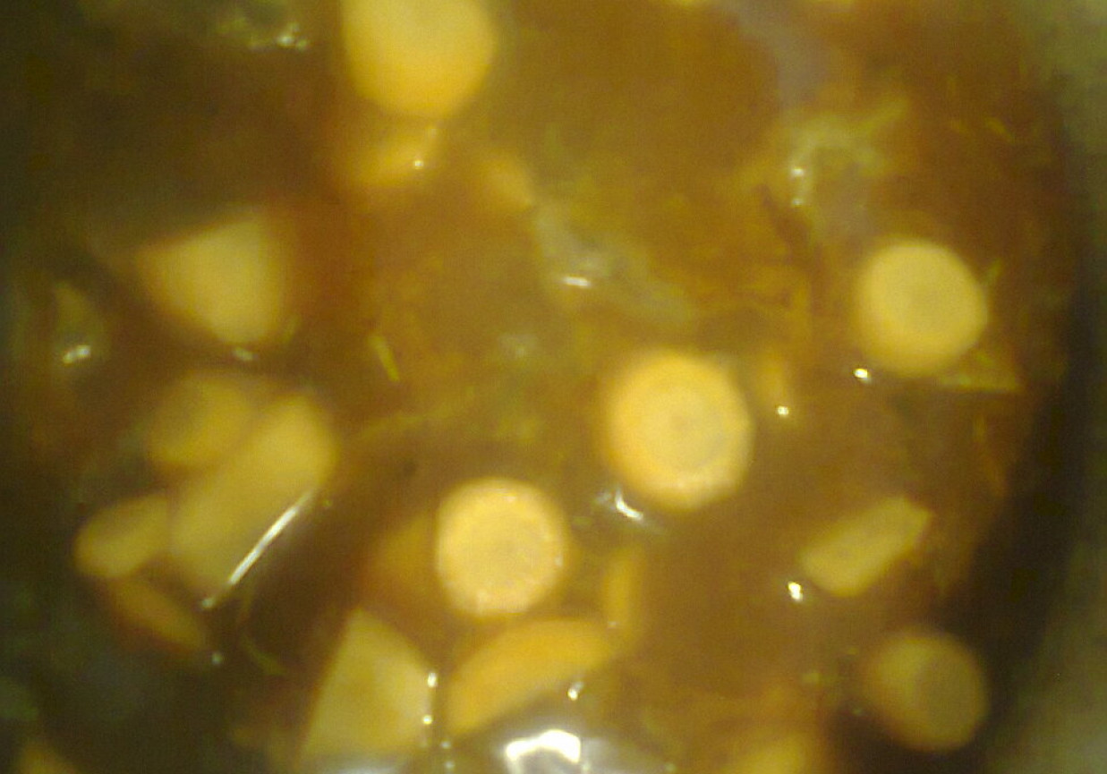 Gulasz z szynki z młodą marchewką foto