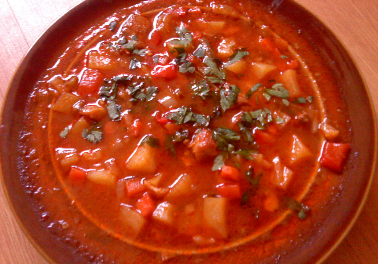 Gulaszowa zupa foto