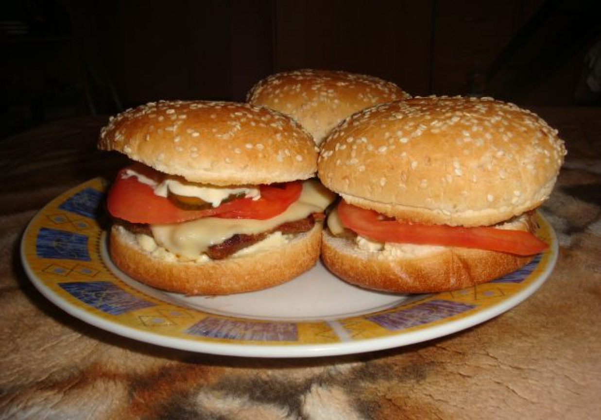 Hamburger foto