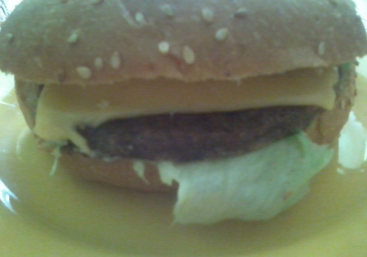 hamburger foto
