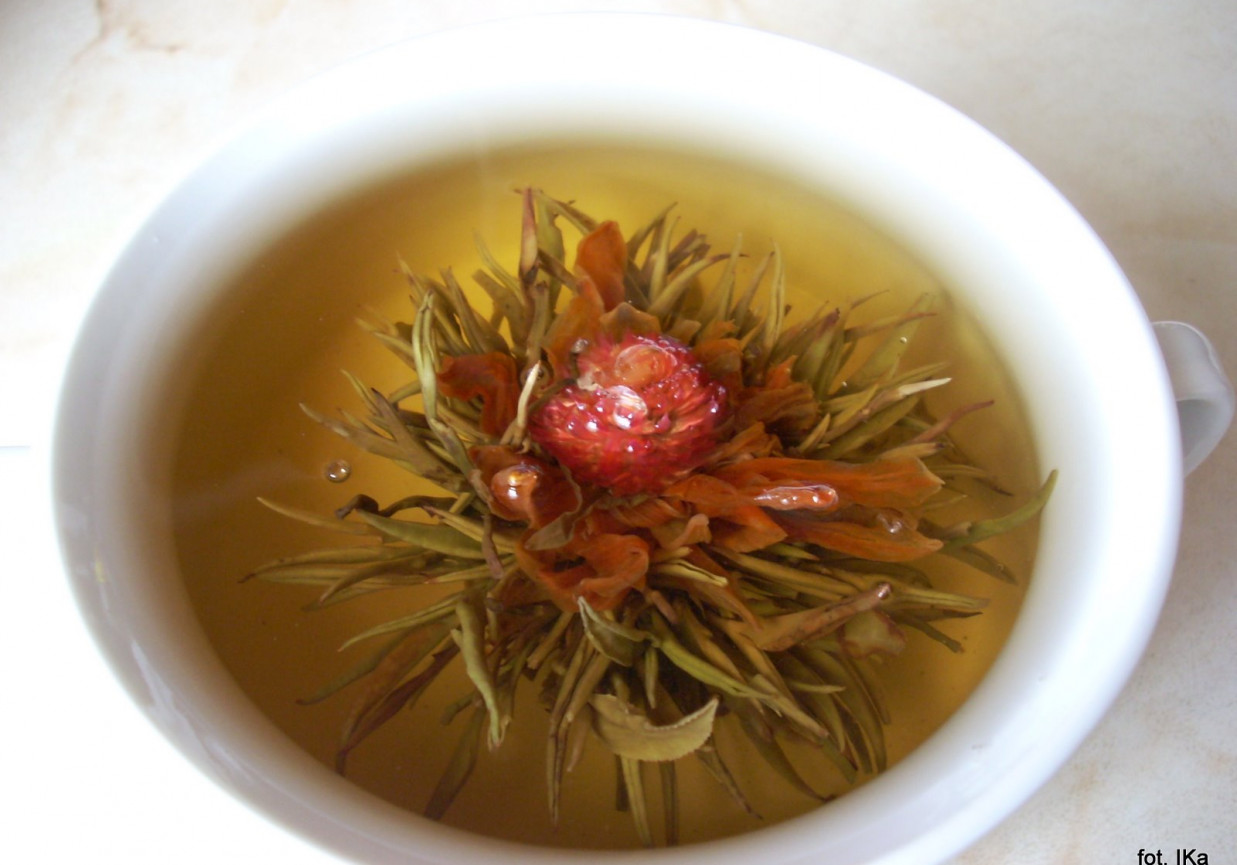 Herbata biała - kwiat foto