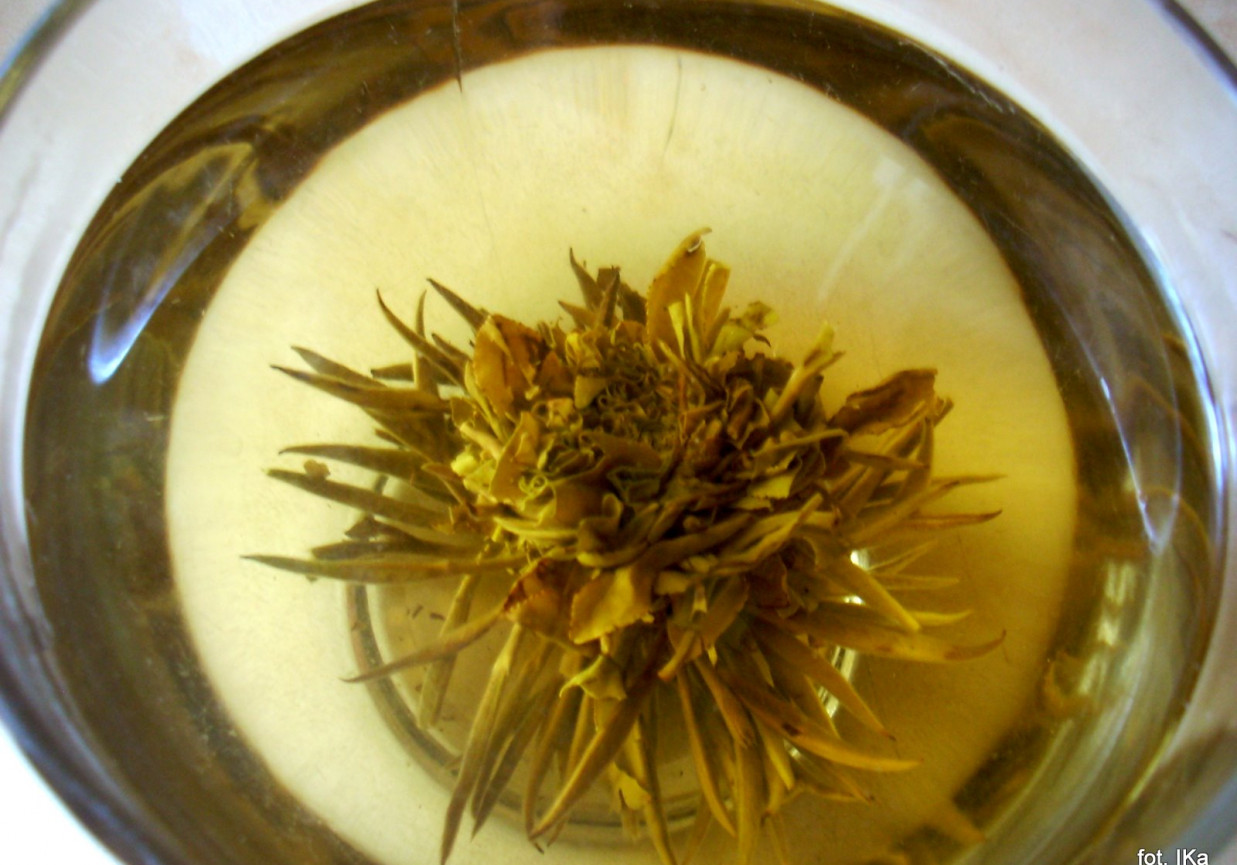 Herbata biała - kwiat foto