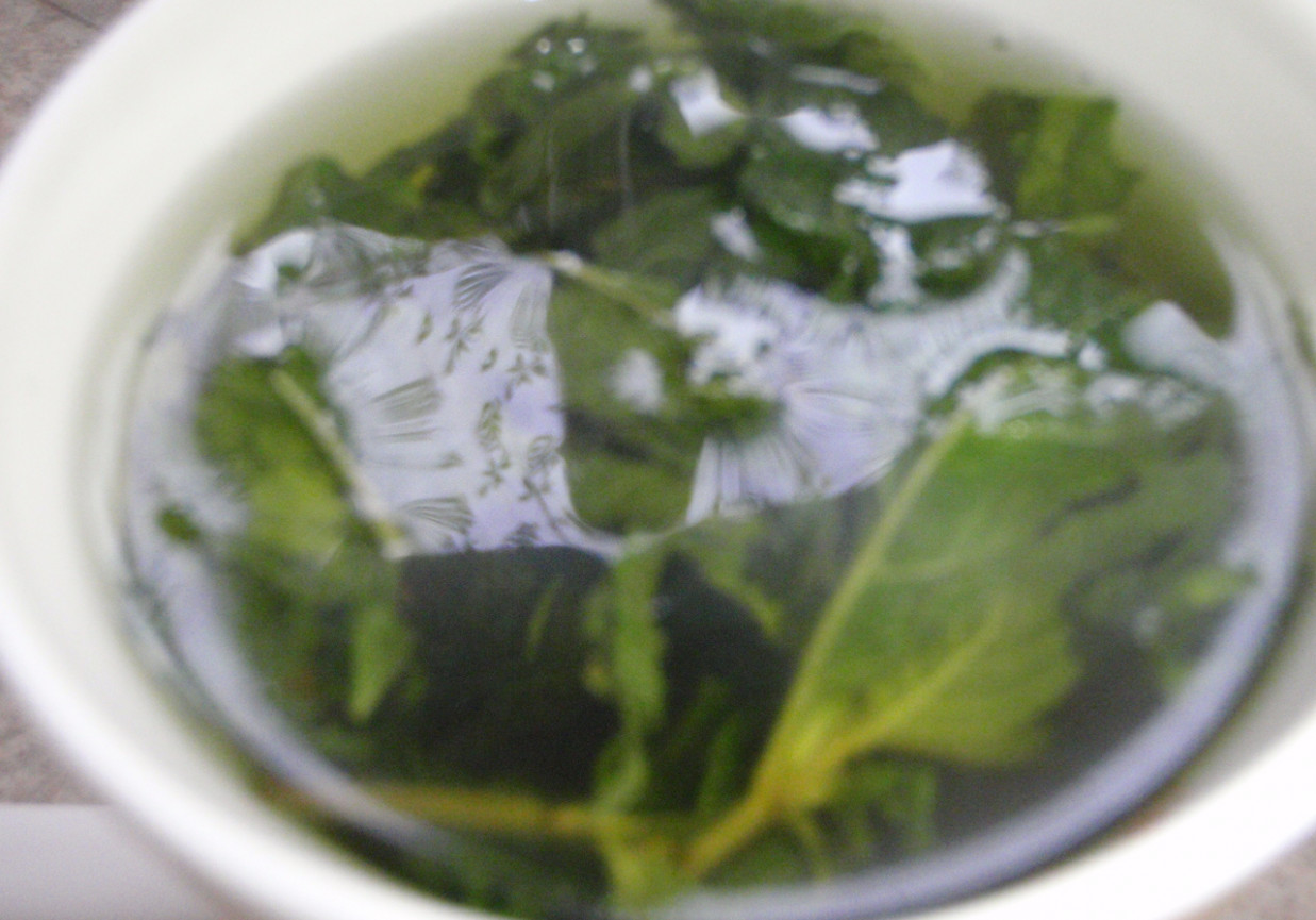 Herbata miętowa foto