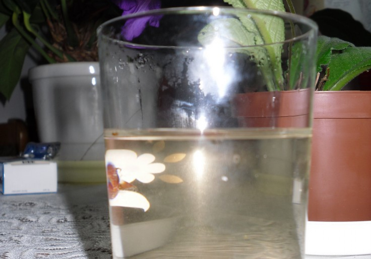 Herbata sosnowo-miodowa na przeziebienia foto