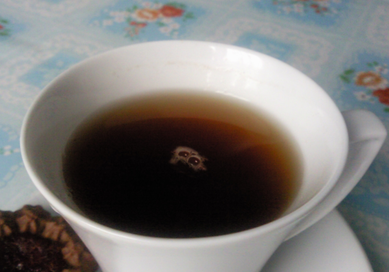 Herbata z prądem foto
