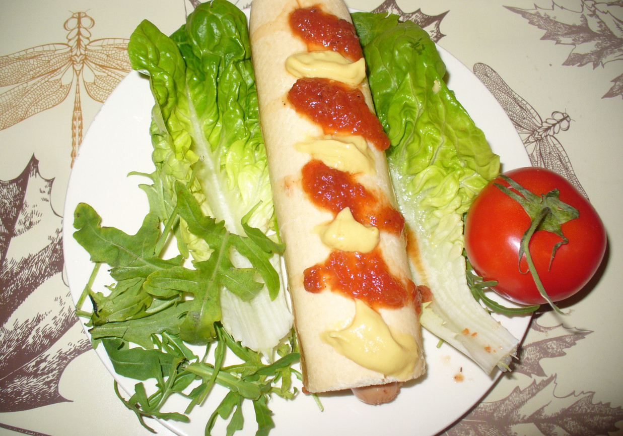 Hot dog z parówką z  szynki foto