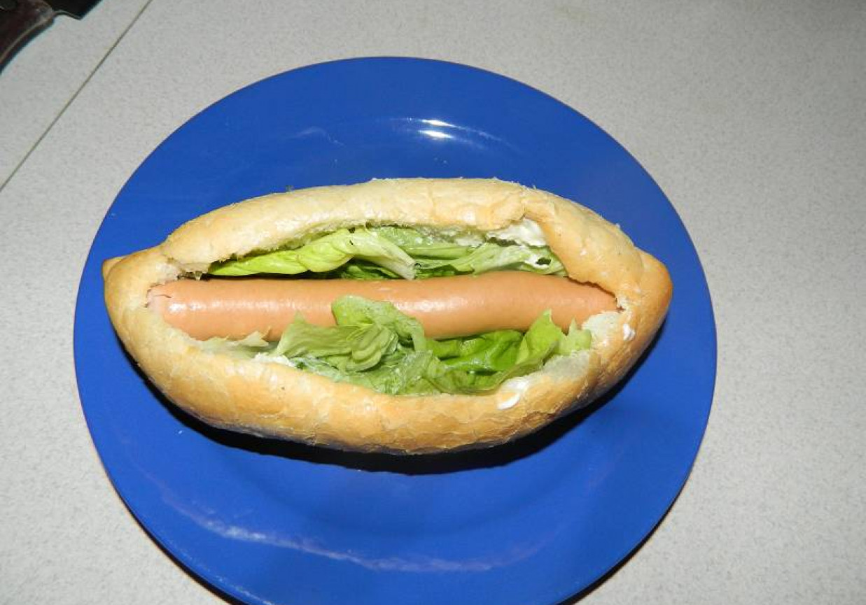 Hot - dogi. foto