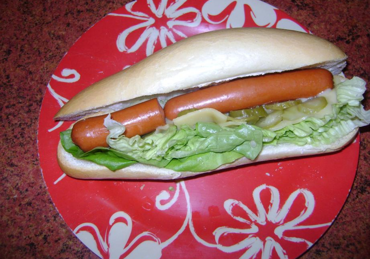 Hot-dog na szybko foto