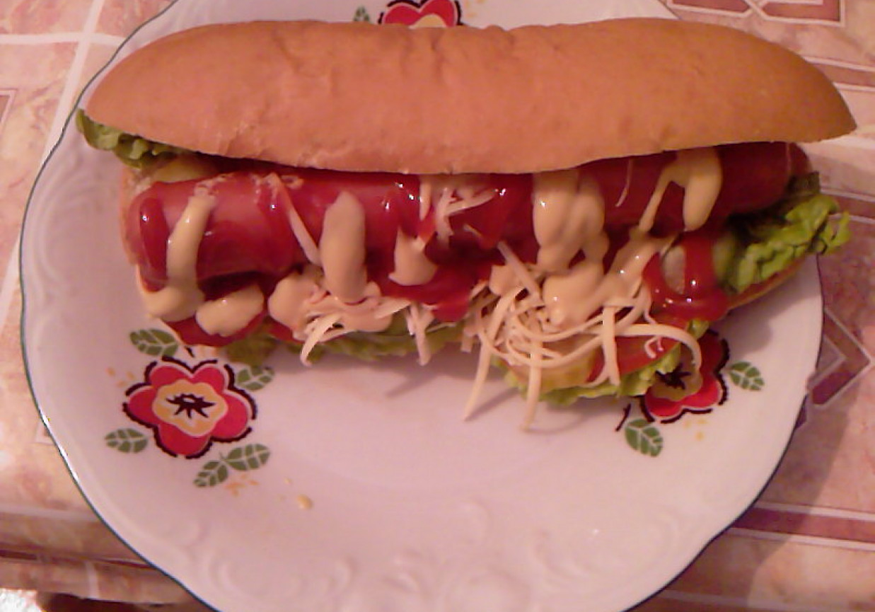 Hot-dog wegetariański foto