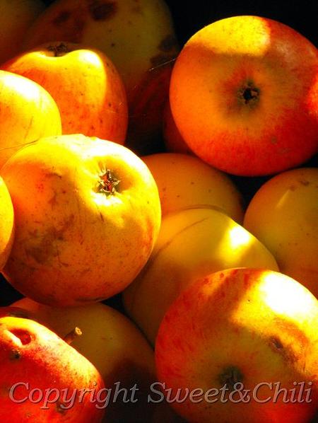 Jabłka – owoce jesieni…