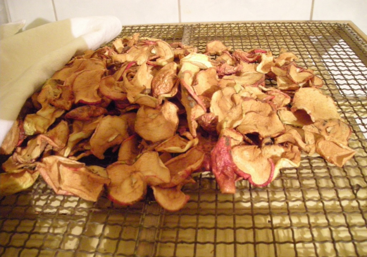 jabłkowe chipsy z cynamonem foto