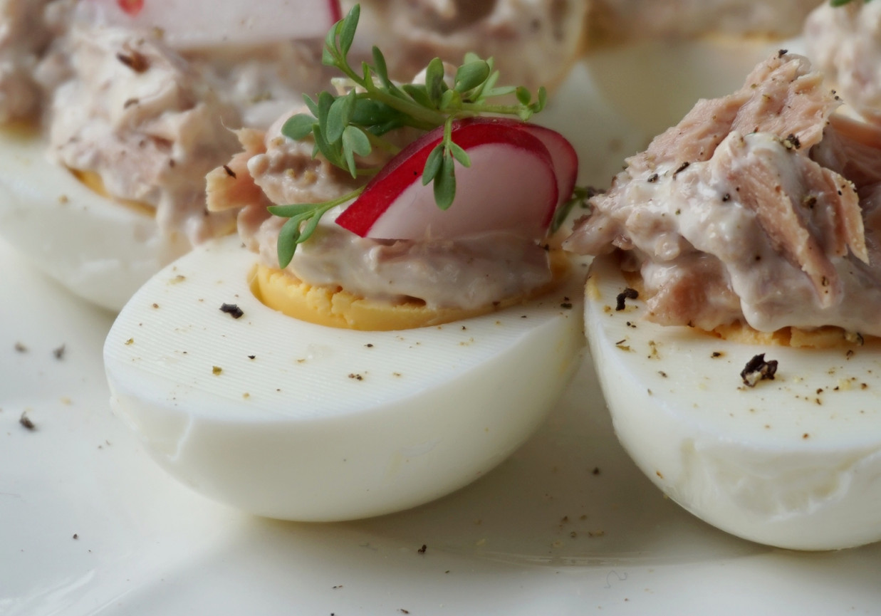 Jajka faszerowane tuńczykiem foto