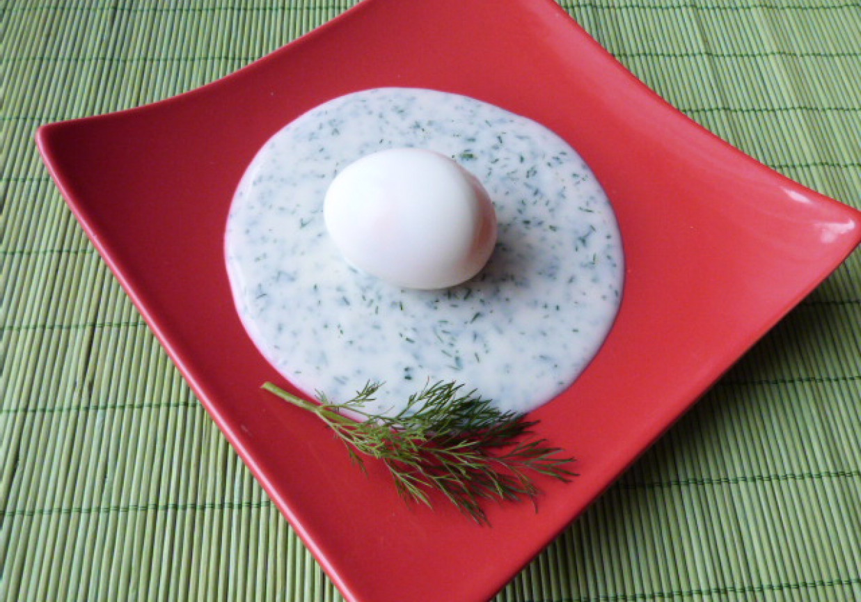 Jajka na twardo w sosie koperkowym. foto