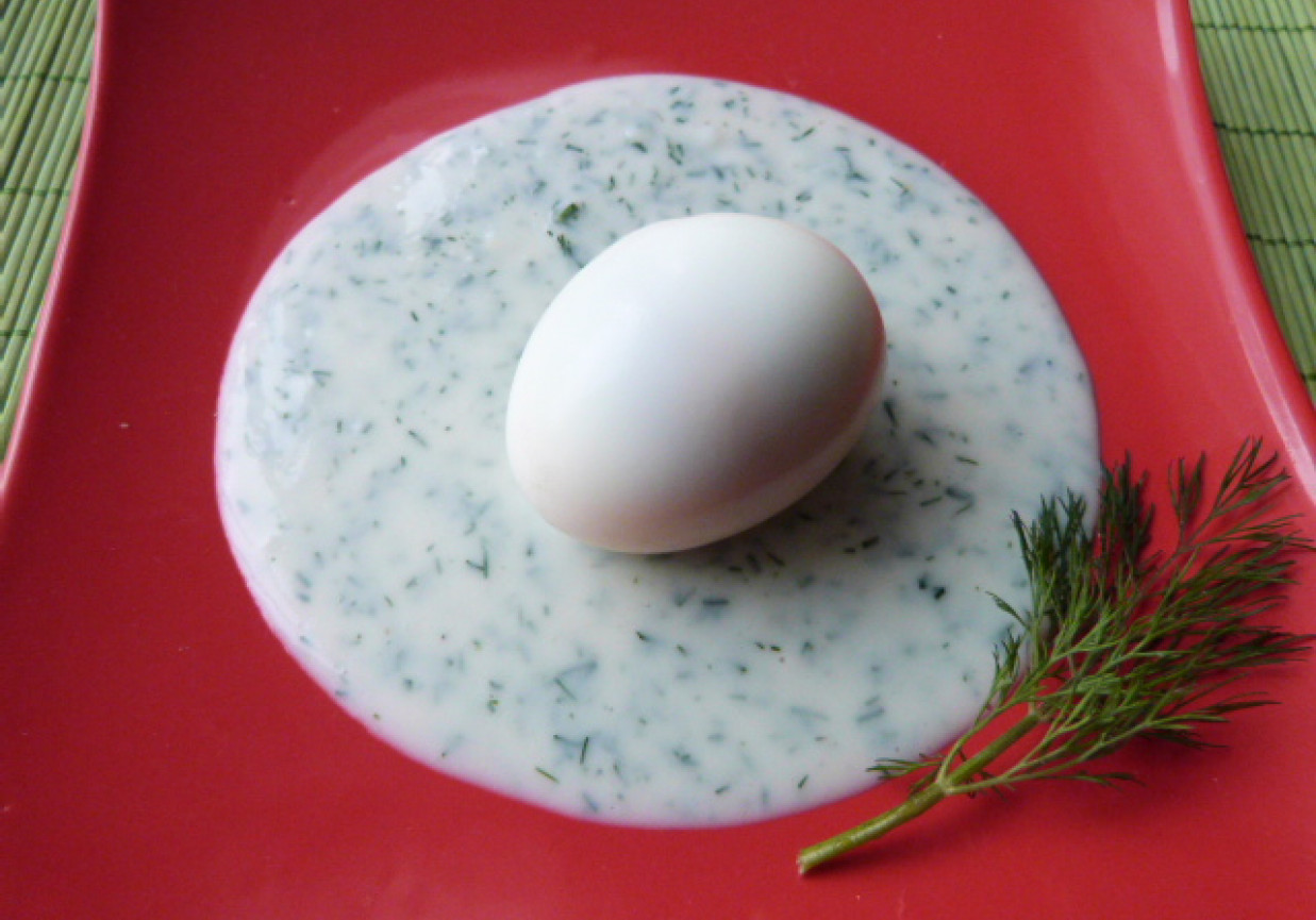 Jajka na twardo w sosie koperkowym. foto