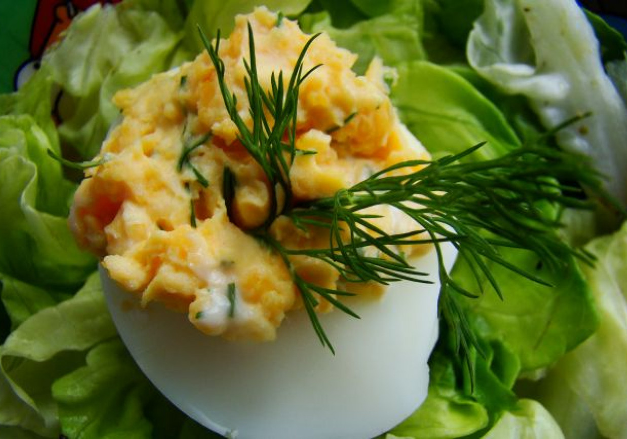Jajka nadziewane masą chrzanowo-koperkowom foto