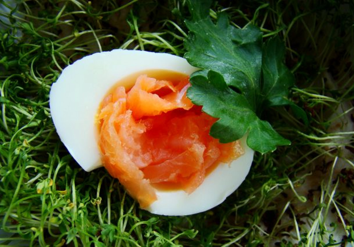 jajka nadziewane wędzonym łososiem foto
