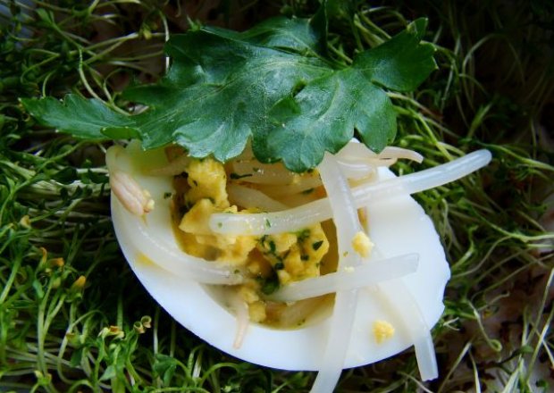Fotografia przedstawiająca jajka nadziewane żółtkiem i kiełkami