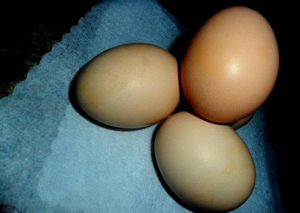 Jajka nierozłączny składnik w naszej kuchni  foto