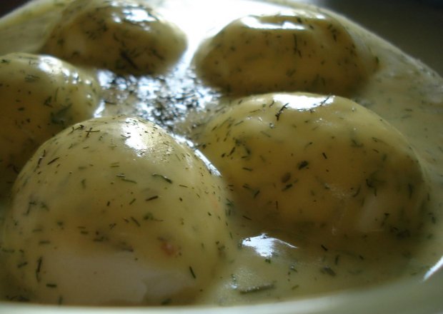 Fotografia przedstawiająca Jajka w gorącym sosie koperkowo- musztardowym