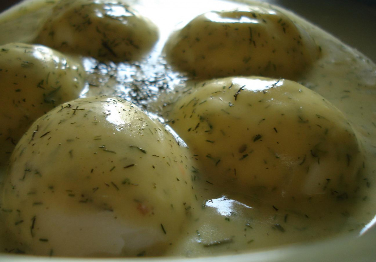 Jajka w gorącym sosie koperkowo- musztardowym foto