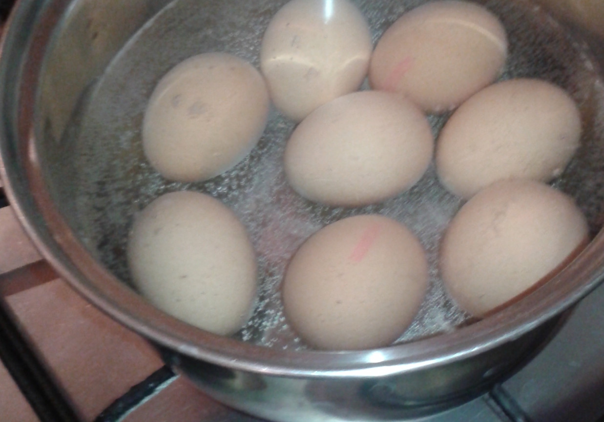 Jajka w sosie pieczarkowym. foto