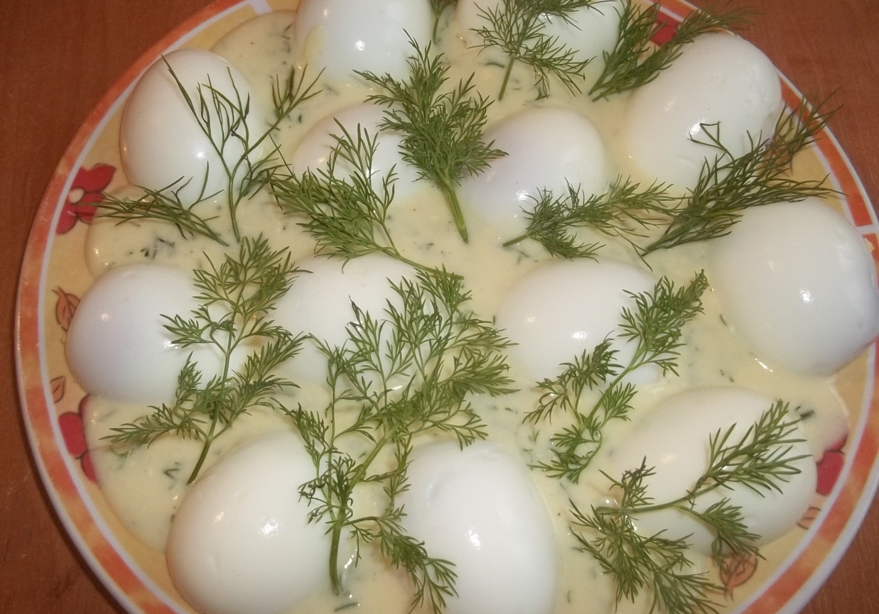 Jajka w sosie serowo - koperkowym  foto