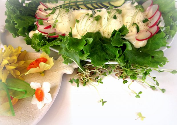 Fotografia przedstawiająca Jajka w wiosennym sosie z kiełkami rzodkiewki