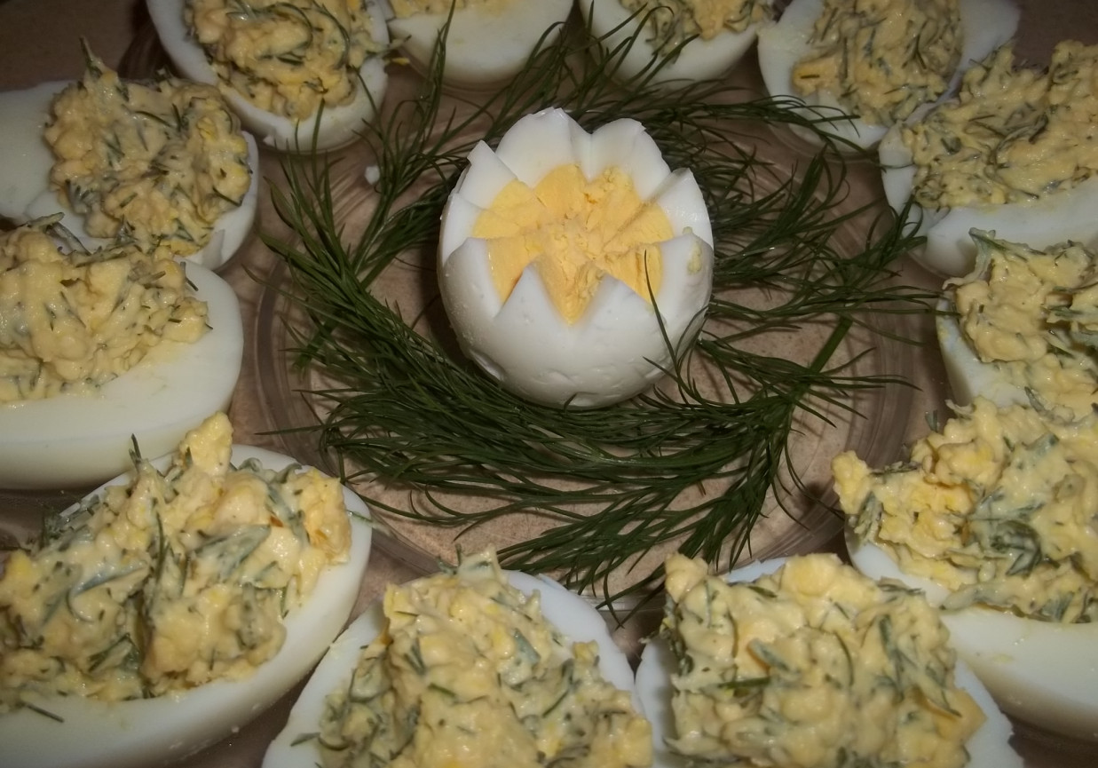 Jajka z farszem koperkowym  foto