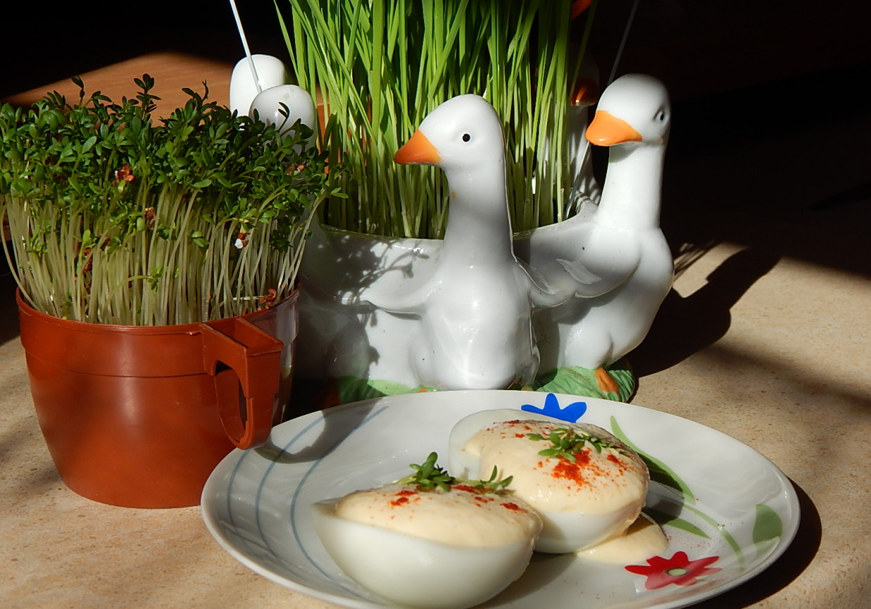 Jajka z pastą twarogową i rzeżuchą w sosie chrzanowym foto