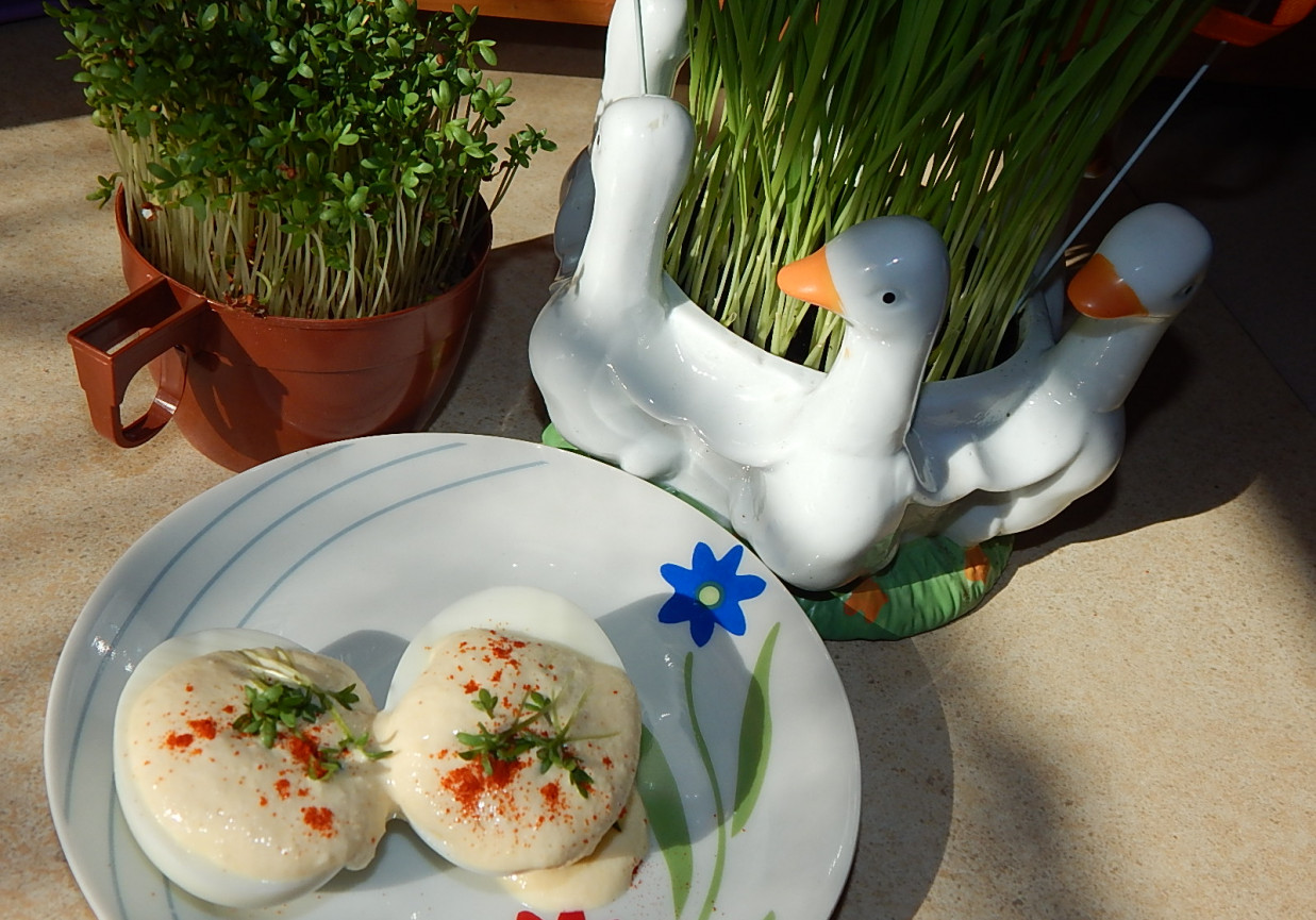 Jajka z pastą twarogową i rzeżuchą w sosie chrzanowym foto