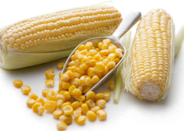 Jak gotować kukurydzę? foto