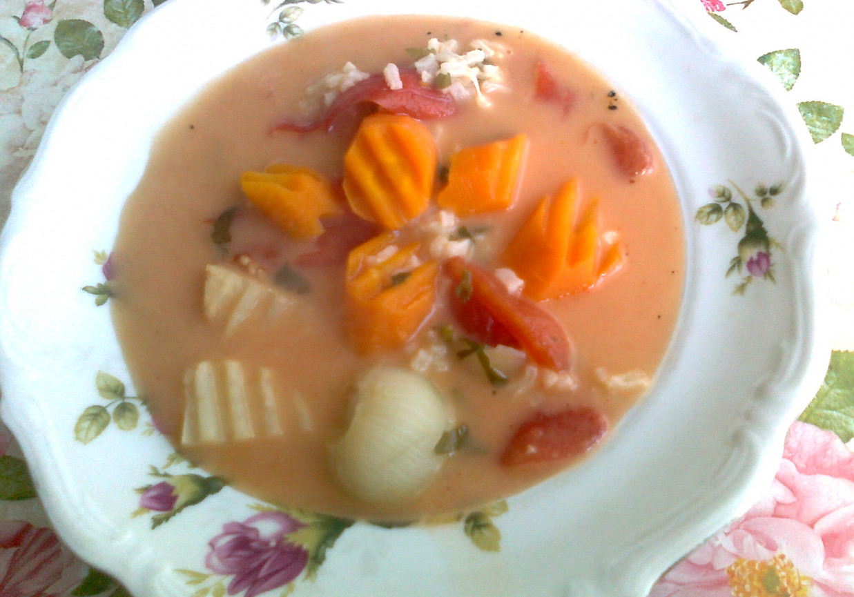 Jarzynowa zupa pomidorowa foto