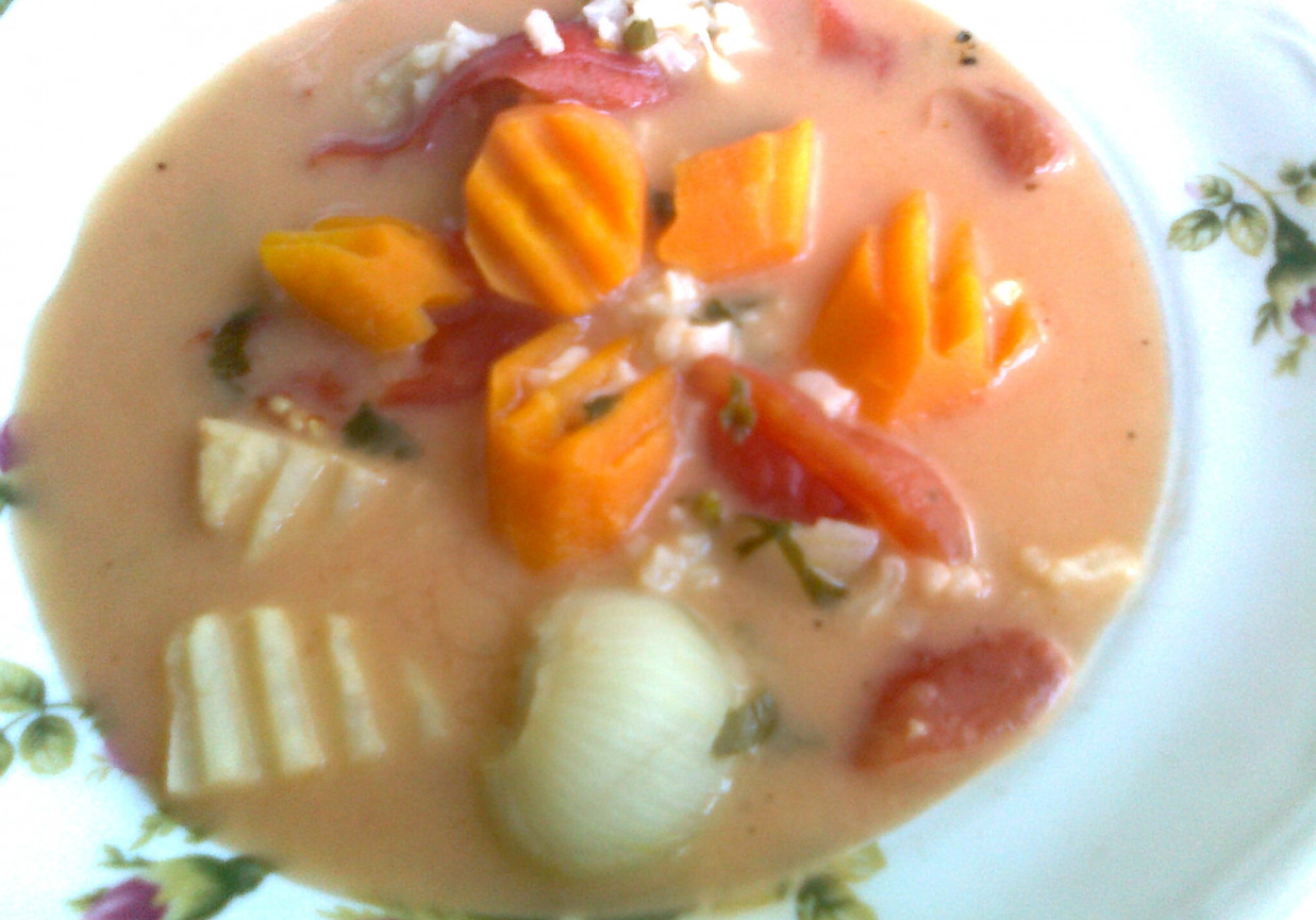 Jarzynowa zupa pomidorowa foto