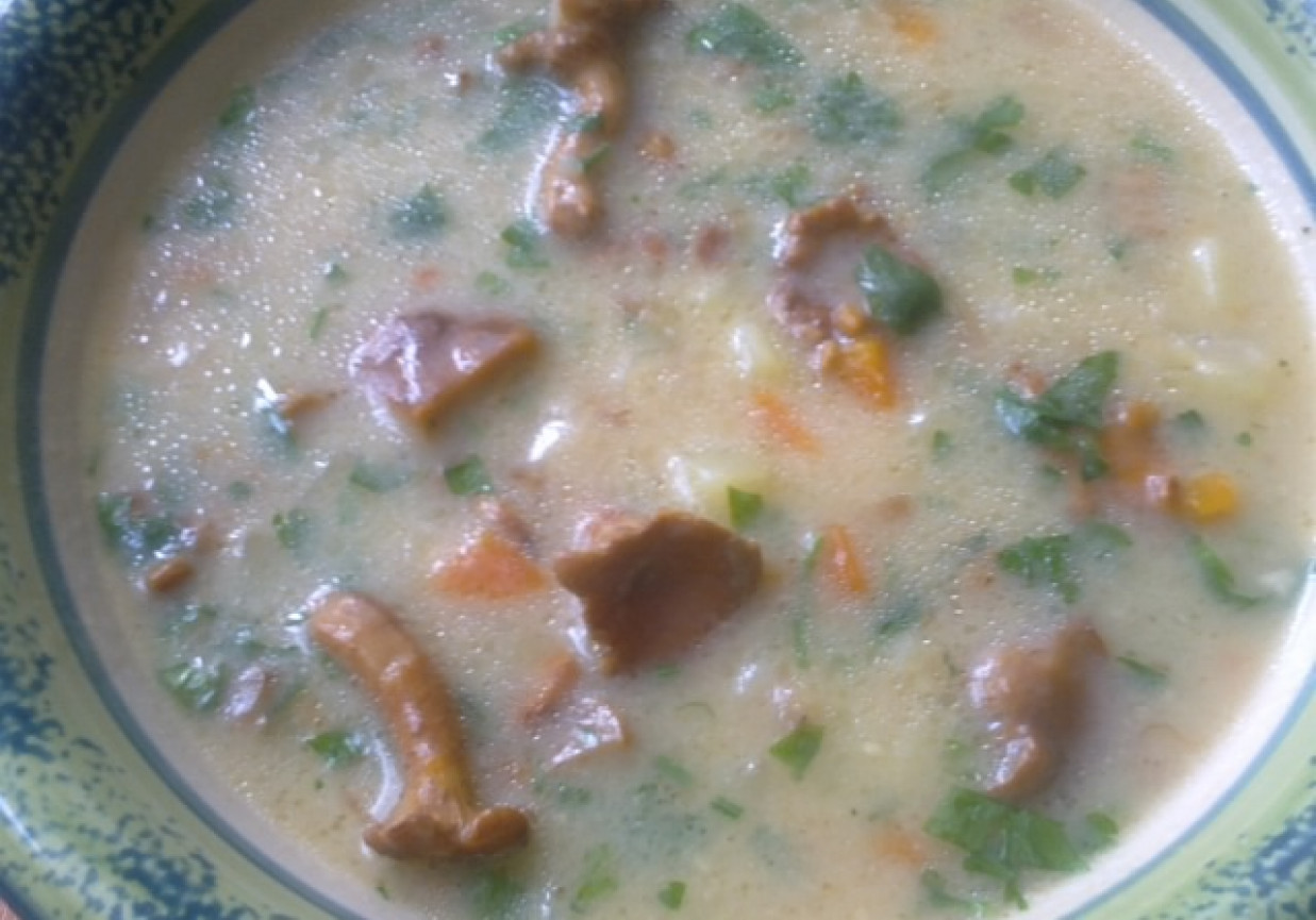 Jarzynowa zupa z kurkami foto