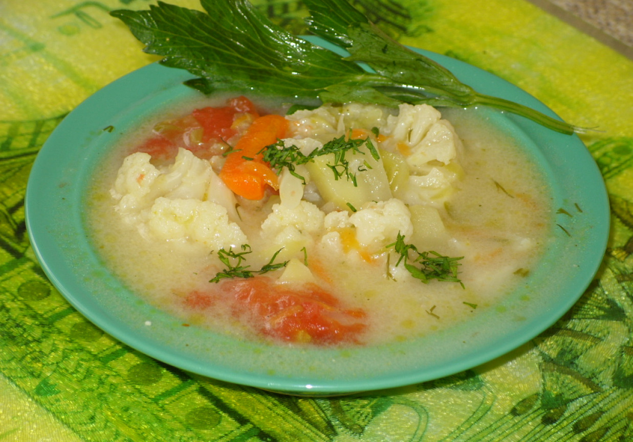 Jarzynowa zupa foto